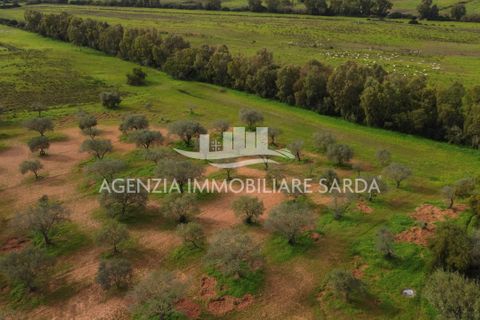 Tomt i Alghero, Sassari, Alghero - € 190 000 | Ref: SAS52 - foto 6