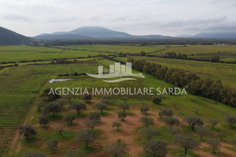 Tomt i Alghero, Sassari, Alghero - € 190 000 | Ref: SAS52 - foto 7