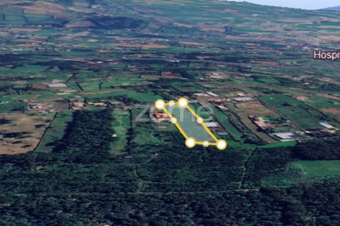 Terra a Lagoa, Sao Miguel, Lagoa - € 480.000 | Ref: ZMPT586131 - foto 14