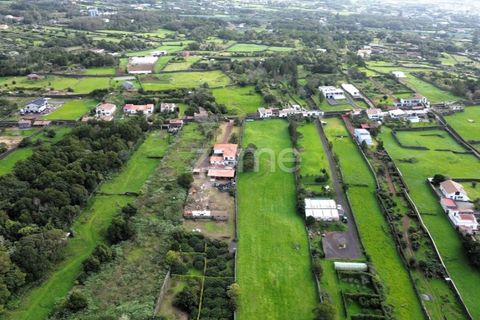 Terra a Lagoa, Sao Miguel, Lagoa - € 480.000 | Ref: ZMPT586131 - foto 11