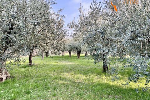 Villa a Sona, Verona, Sona - € 490.000 | Ref: FP23 - foto 8
