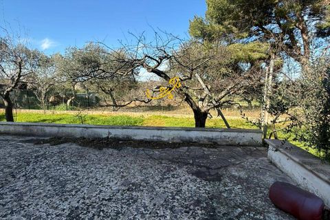 Herregård i Putignano, Bari, Putignano - € 250 000 | Ref: R 551 - foto 7