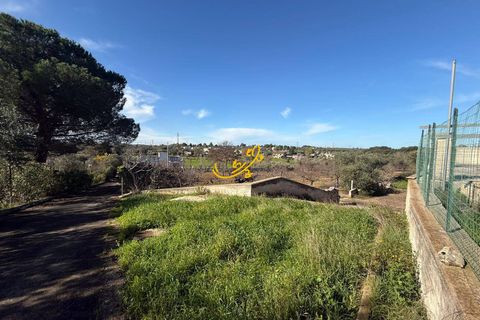 Herregård i Putignano, Bari, Putignano - € 250 000 | Ref: R 551 - foto 8