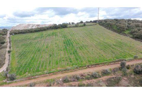 Helårsgrund i Borba, Evora, Borba - € 67.500 | Ref: ALT002/046/2026 - foto 1