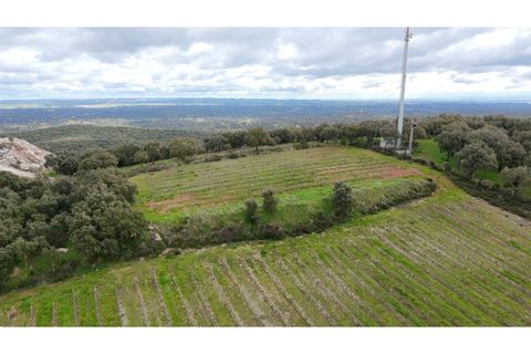 Helårsgrund i Borba, Evora, Borba - € 67.500 | Ref: ALT002/046/2026 - foto 3