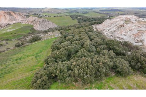 Helårsgrund i Borba, Evora, Borba - € 67.500 | Ref: ALT002/046/2026 - foto 4