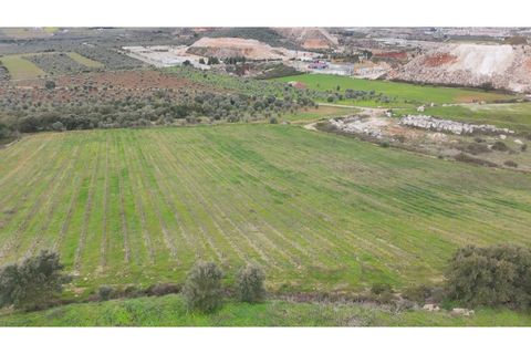 Helårsgrund i Borba, Evora, Borba - € 67.500 | Ref: ALT002/046/2026 - foto 5