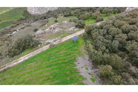 Helårsgrund i Borba, Evora, Borba - € 67.500 | Ref: ALT002/046/2026 - foto 6