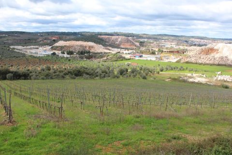 Helårsgrund i Borba, Evora, Borba - € 67.500 | Ref: ALT002/046/2026 - foto 9