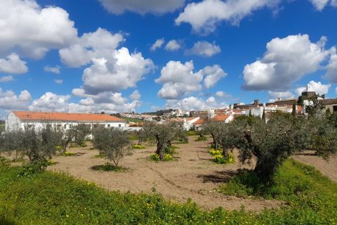 Villa a Alandroal, Evora, Alandroal - € 550.000 | Ref: ALT004/039/2026 - foto 22