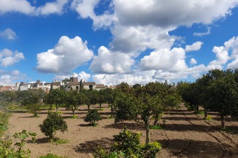 Villa a Alandroal, Evora, Alandroal - € 550.000 | Ref: ALT004/039/2026 - foto 23