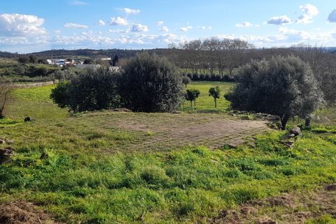 Villa a Alandroal, Evora, Alandroal - € 550.000 | Ref: ALT004/039/2026 - foto 26