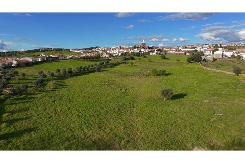 Villa a Alandroal, Evora, Alandroal - € 550.000 | Ref: ALT004/039/2026 - foto 29