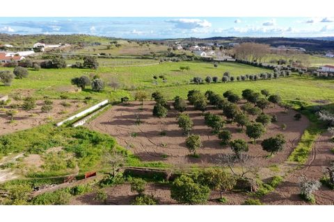 Villa a Alandroal, Evora, Alandroal - € 550.000 | Ref: ALT004/039/2026 - foto 32