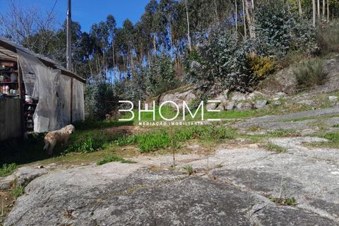 Villa i Fafe, Braga, Fafe - € 299.000 | Ref: 2001614 - foto 5