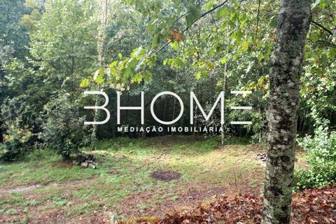 Villa i Fafe, Braga, Fafe - € 299.000 | Ref: 2001614 - foto 17