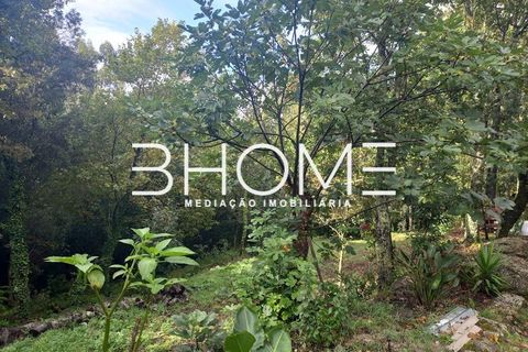 Villa i Fafe, Braga, Fafe - € 299.000 | Ref: 2001614 - foto 18