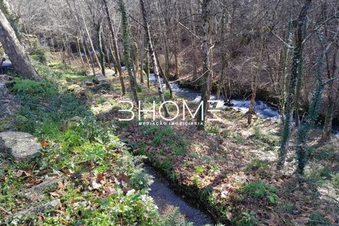Villa i Fafe, Braga, Fafe - € 299.000 | Ref: 2001614 - foto 21
