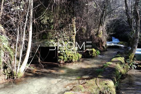 Villa i Fafe, Braga, Fafe - € 299.000 | Ref: 2001614 - foto 28