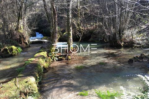 Villa i Fafe, Braga, Fafe - € 299.000 | Ref: 2001614 - foto 29