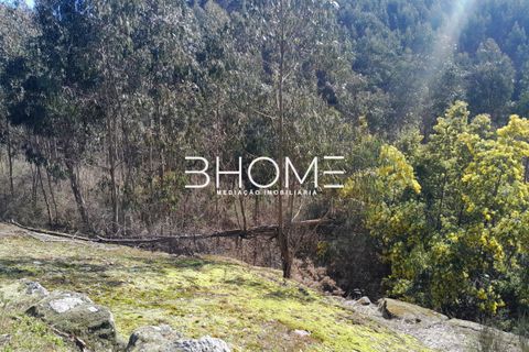 Villa i Fafe, Braga, Fafe - € 299.000 | Ref: 2001614 - foto 34