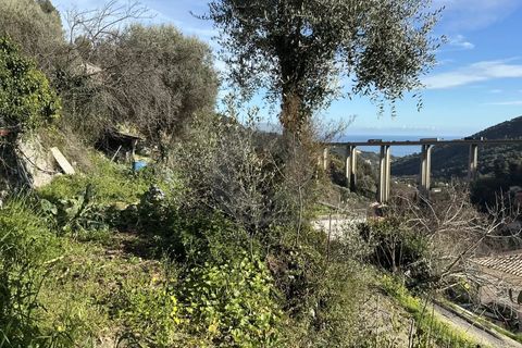 Terra a Gorbio, Alpes-Maritimes, Gorbio - € 265.000 | Ref: D15888 - foto 3