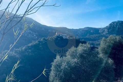 Terra a Gorbio, Alpes-Maritimes, Gorbio - € 265.000 | Ref: D15888 - foto 4