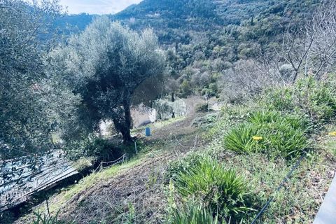 Terra a Gorbio, Alpes-Maritimes, Gorbio - € 265.000 | Ref: D15888 - foto 5