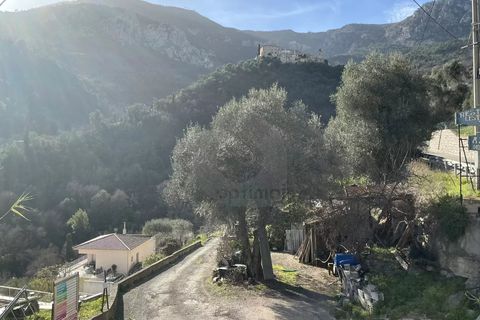Terra a Gorbio, Alpes-Maritimes, Gorbio - € 265.000 | Ref: D15888 - foto 6