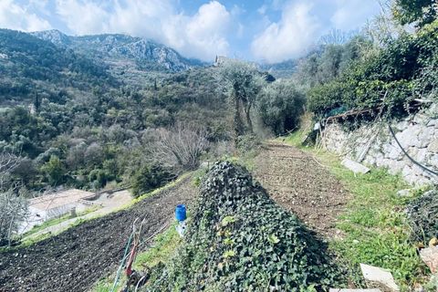 Terra a Gorbio, Alpes-Maritimes, Gorbio - € 265.000 | Ref: D15888 - foto 7
