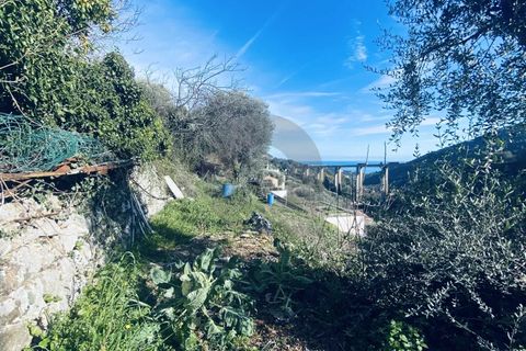 Terra a Gorbio, Alpes-Maritimes, Gorbio - € 265.000 | Ref: D15888 - foto 8