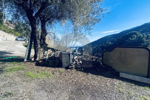 Terra a Gorbio, Alpes-Maritimes, Gorbio - € 265.000 | Ref: D15888 - foto 9