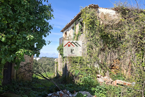 Helårsgrund i Coimbra, Coimbra, Coimbra - € 2.659.050 | Ref: V968JB - foto 16