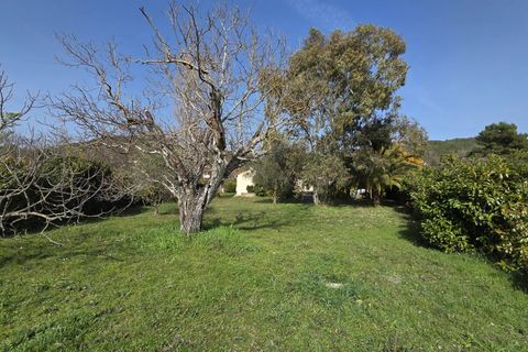 Villa a Tourrettes, Var, Tourrettes - € 659.000 | Ref: 86805945 - foto 18