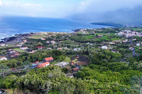 Helårsgrund i Sao Roque do Pico, Pico, Sao Roque do Pico - € 35.000 | Ref: 374260036 - foto 3