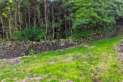 Helårsgrund i Sao Roque do Pico, Pico, Sao Roque do Pico - € 35.000 | Ref: 374260036 - foto 8