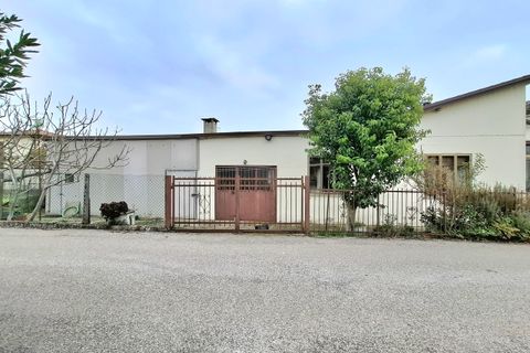 Villa a Rovigo, Rovigo, Rovigo - € 69.000 | Ref: AP11026 - foto 6