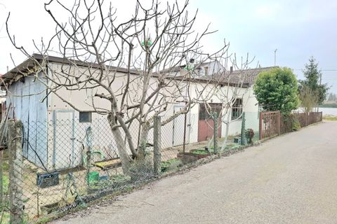 Villa a Rovigo, Rovigo, Rovigo - € 69.000 | Ref: AP11026 - foto 7