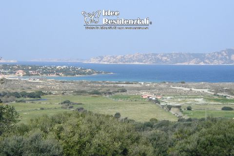 Helårsgrund i Palau, Sassari, Palau - € 260.000 | Ref: TERRENO AGRICOLO CAP - foto 1