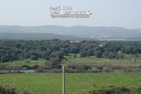 Helårsgrund i Palau, Sassari, Palau - € 260.000 | Ref: TERRENO AGRICOLO CAP - foto 3