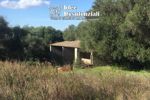 Helårsgrund i Palau, Sassari, Palau - € 260.000 | Ref: TERRENO AGRICOLO CAP - foto 5