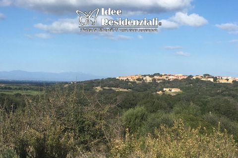 Helårsgrund i Palau, Sassari, Palau - € 260.000 | Ref: TERRENO AGRICOLO CAP - foto 6