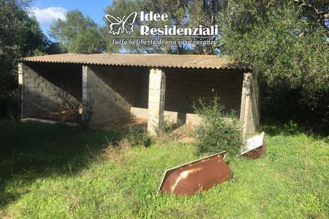 Helårsgrund i Palau, Sassari, Palau - € 260.000 | Ref: TERRENO AGRICOLO CAP - foto 7