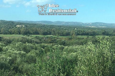 Helårsgrund i Palau, Sassari, Palau - € 260.000 | Ref: TERRENO AGRICOLO CAP - foto 10
