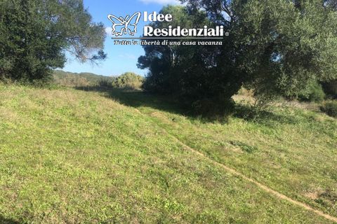 Helårsgrund i Palau, Sassari, Palau - € 260.000 | Ref: TERRENO AGRICOLO CAP - foto 11