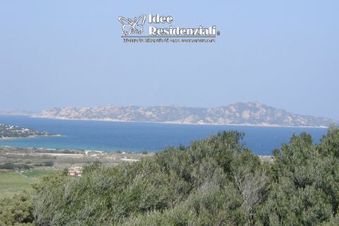 Helårsgrund i Palau, Sassari, Palau - € 260.000 | Ref: TERRENO AGRICOLO CAP - foto 13