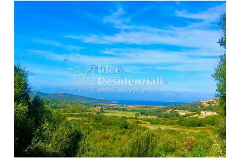 Helårsgrund i Palau, Sassari, Palau - € 260.000 | Ref: TERRENO AGRICOLO CAP - foto 15