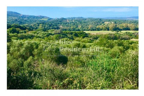 Helårsgrund i Palau, Sassari, Palau - € 260.000 | Ref: TERRENO AGRICOLO CAP - foto 16