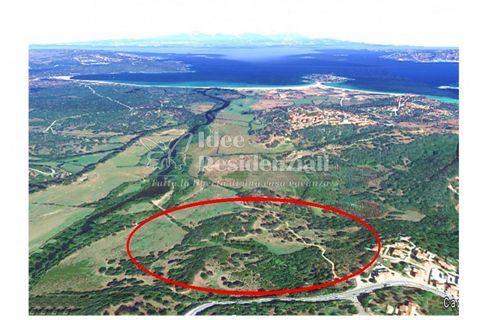 Helårsgrund i Palau, Sassari, Palau - € 260.000 | Ref: TERRENO AGRICOLO CAP - foto 17