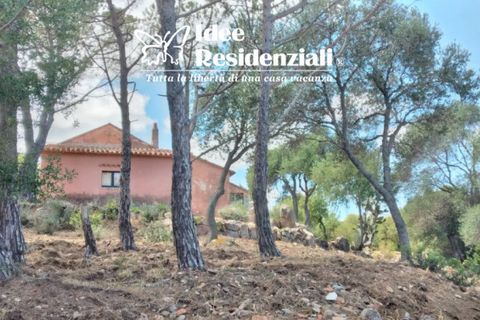 Villa i Palau, Sassari, Palau - € 360.000 | Ref: casa di campagna - foto 4